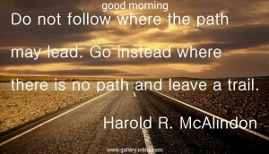 Do not follow where the path may lead. Go instead where there is no path and leave a trail.