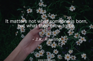 It matters not what someone is born, but what they grow to be.