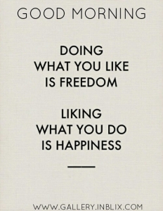 Doing what you like is freedom. Liking what you do is happiness.